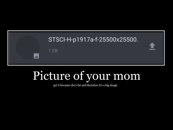 yo mama so fat i need x to send a picture of her
