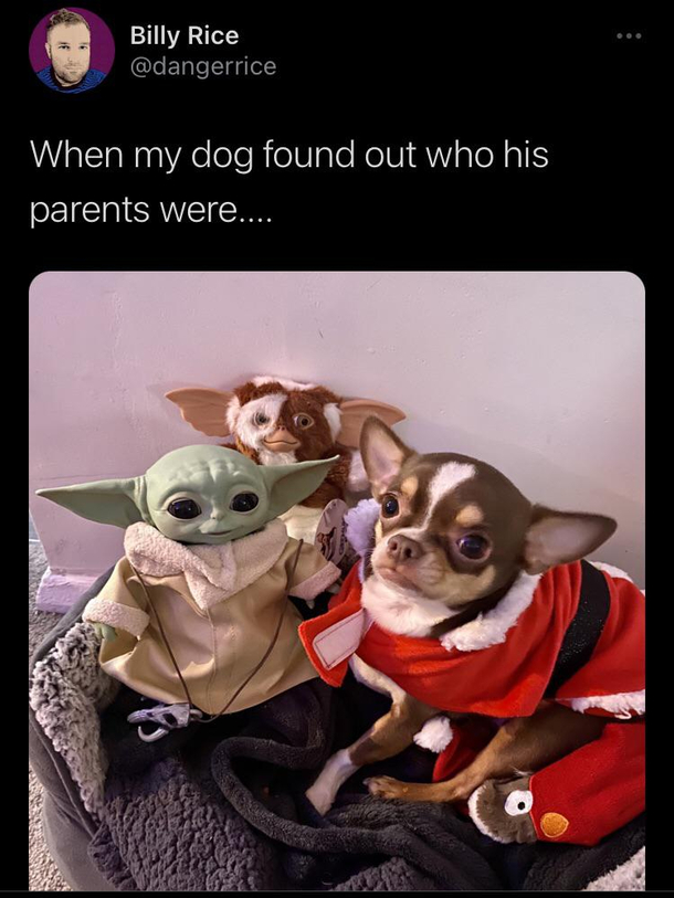 Yoda daddy Gizmo