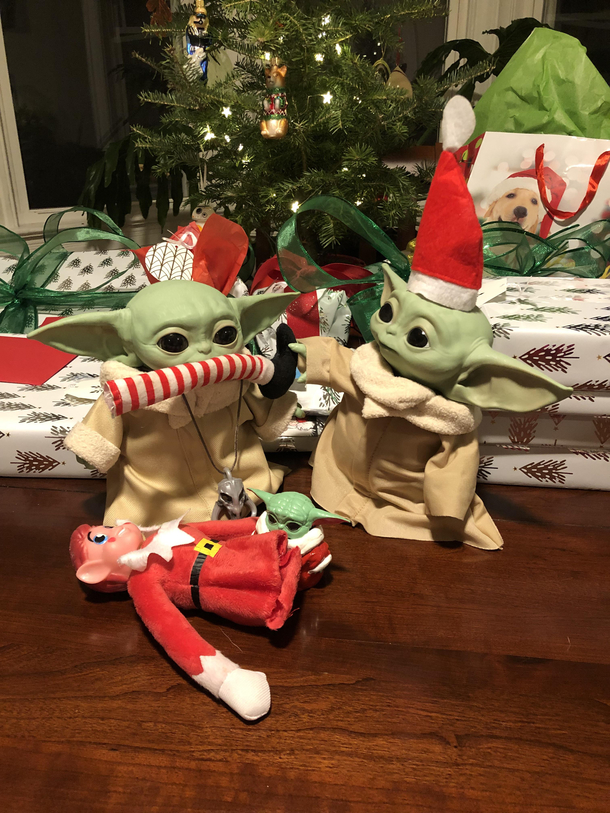 Yodas eat more than frogs for Christmas dinner