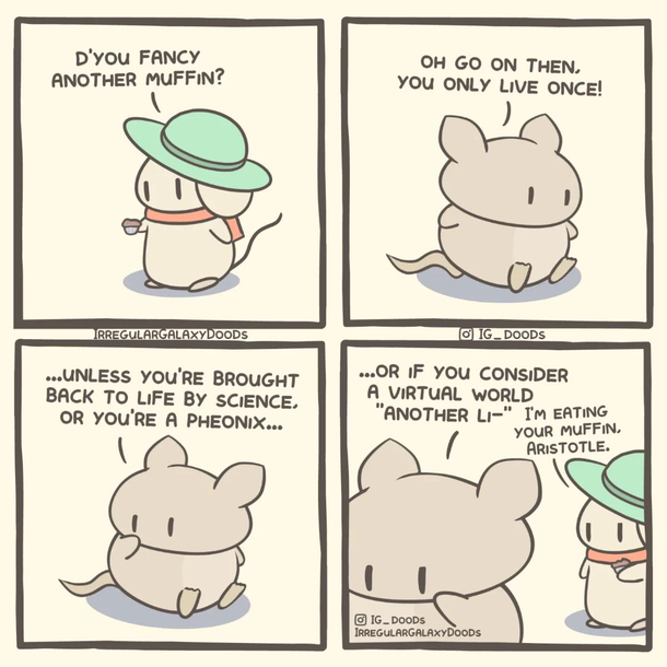 yolo  