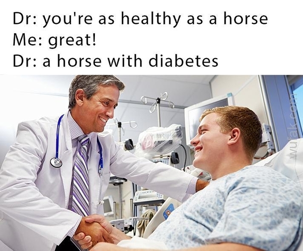 You are healthy as a horse