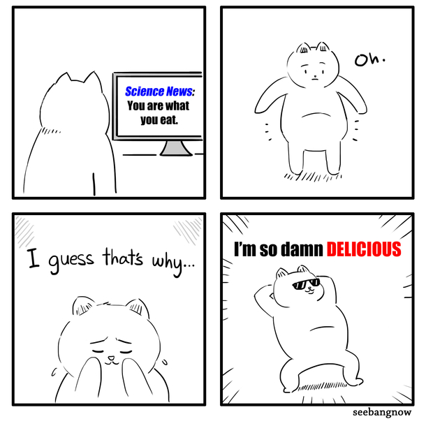 You are what you eat