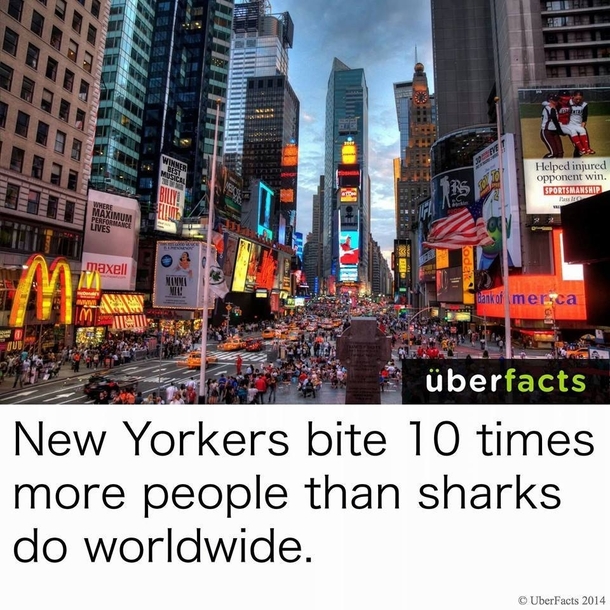 You are x more likely to be bitten by an inhabitant of New York City than by a shark