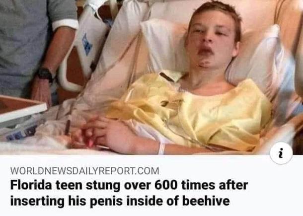 You better beehive yourself brother