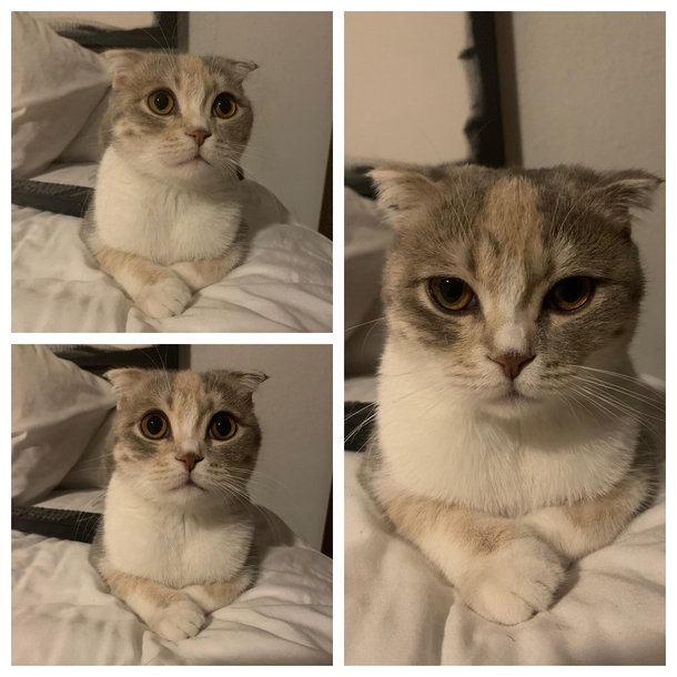 You can really see the point where she decides shes sick of me