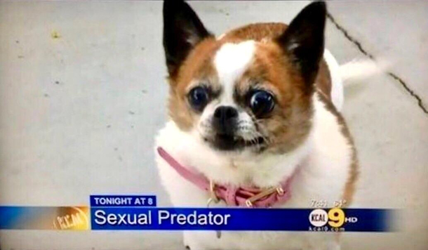 You can see it in his eyes