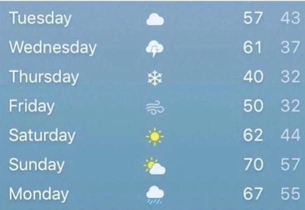 You cant fit every weather icon into one week Indiana hold my beer