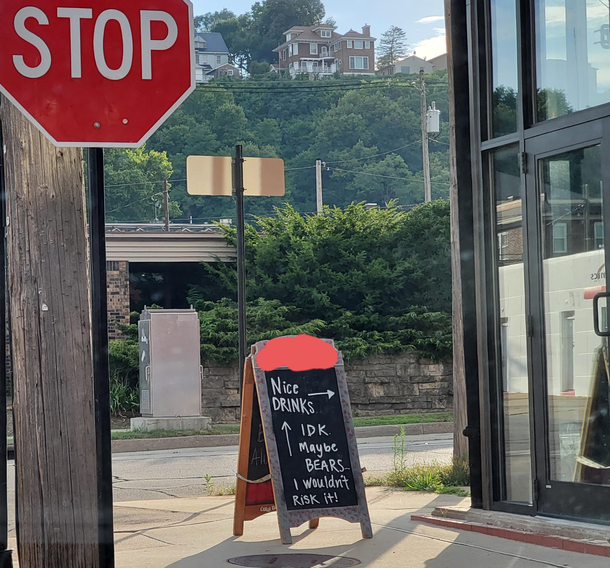 You could either drink at the local bar or fight bears Your choice