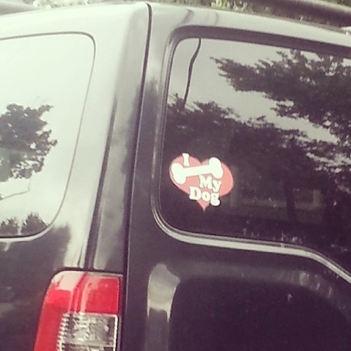 You do WHAT