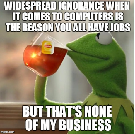 You dont hear mechanics ridiculing customers for not knowing anything cars so why do IT workers do it so much