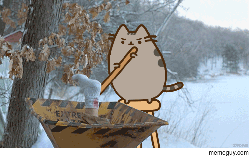 You dont mess with Pusheen