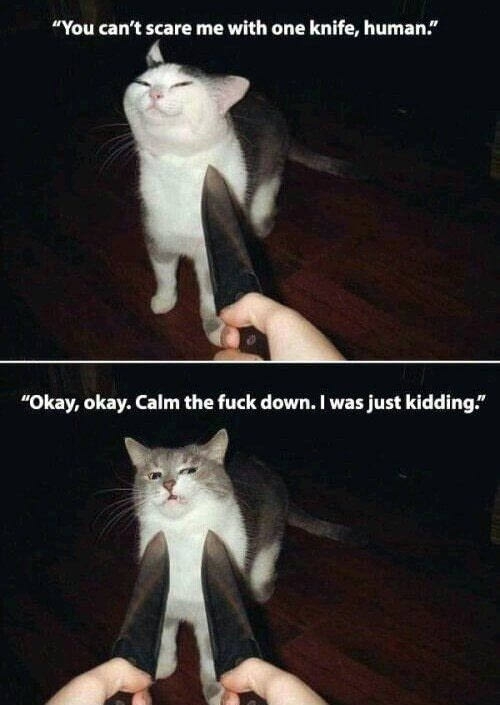 You dont scare meoh