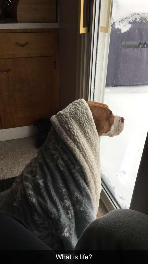 You ever have one of those days