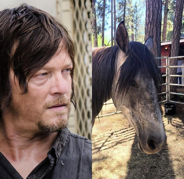 You ever wonder what Norman Reedus would look like as a horse