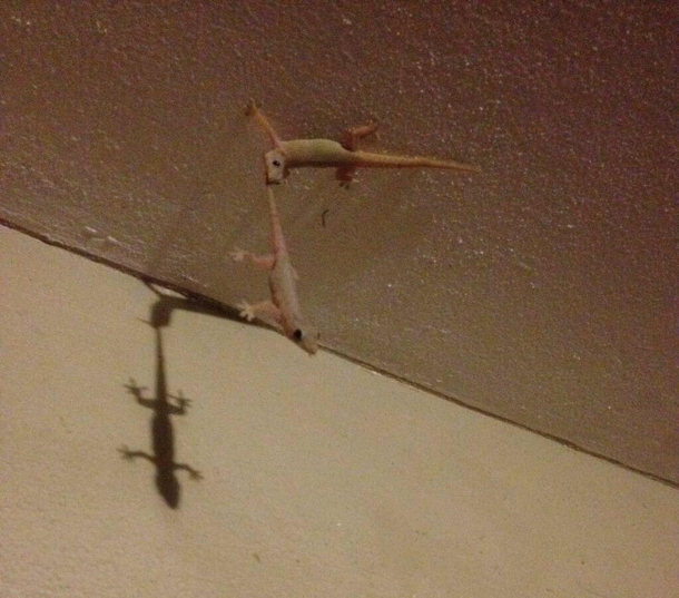 You get that fly I got you bro
