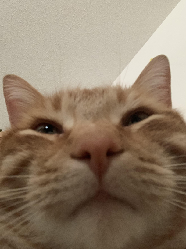 You got games on your phone