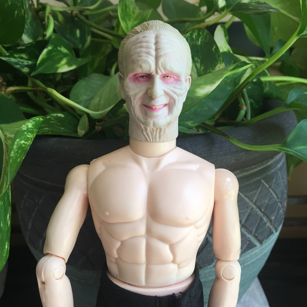 You gotta hand it to Palpatine at least he stayed in shape
