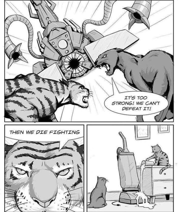 You have always wondered why