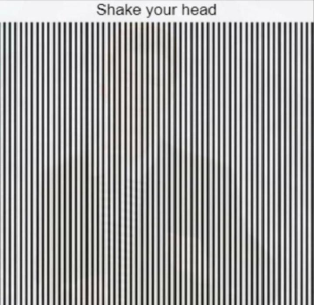 You have to shake your head back and fourth to see the illusion