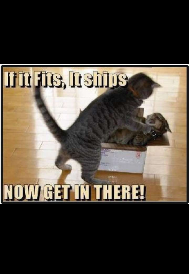 You heard me