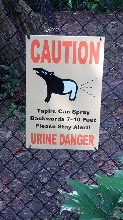 You just cant make this stuff up