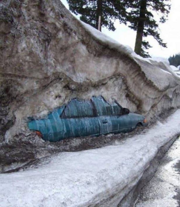 You know its spring in Canada