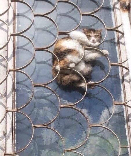You know just hanging