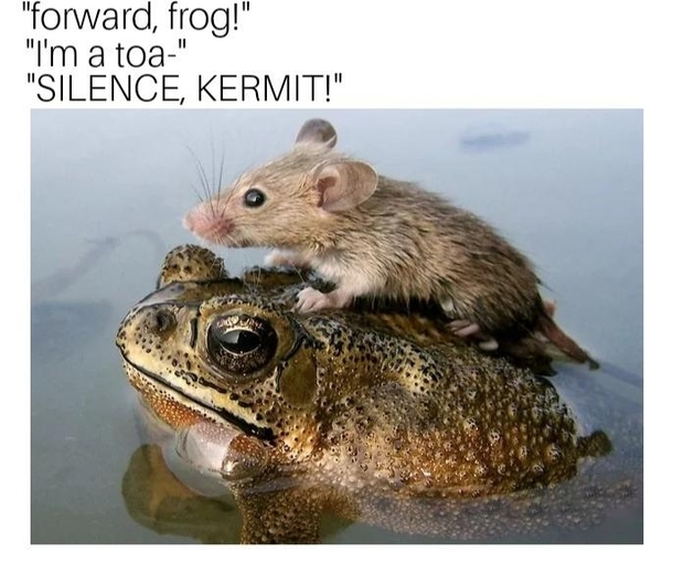 YOU KNOW NOTHING