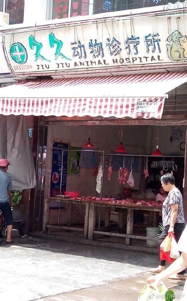 You know you can trust this animal hospital