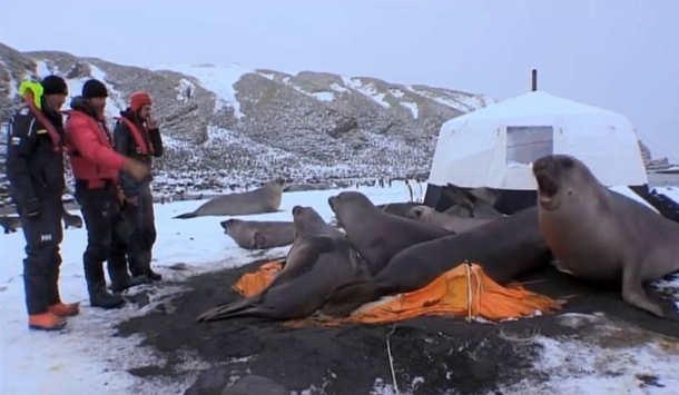 You left your tent open We sealed it for you xpost from ranimalsbeingjerks