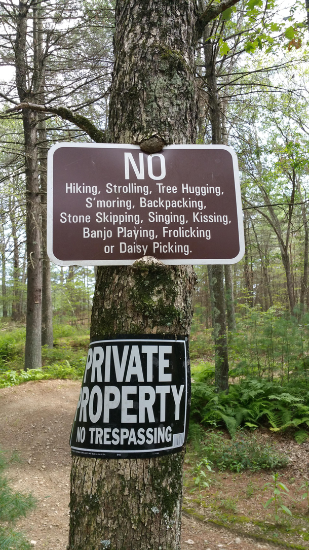 You mean I frolicked all the way here with my Banjo for NOTHING