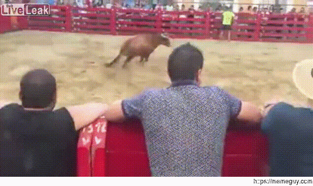 You mess with the bull you get the horns