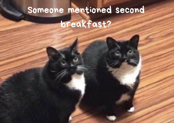 You must have misunderstood us