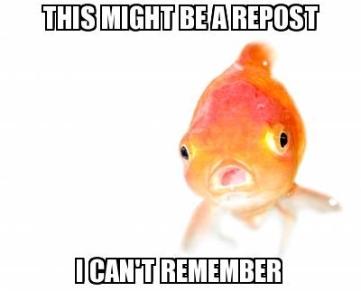 You really cant blame me