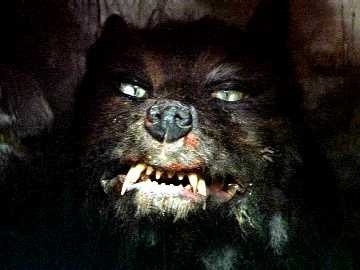 You s babies are wimps This is the scariest mother fucker from MY childhood