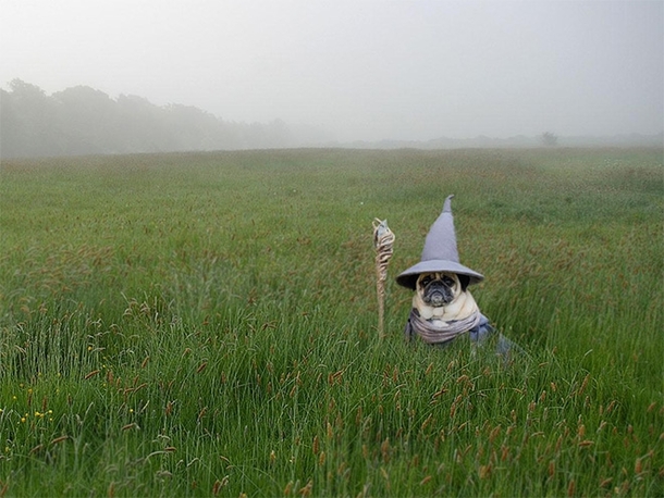 You shall not pass