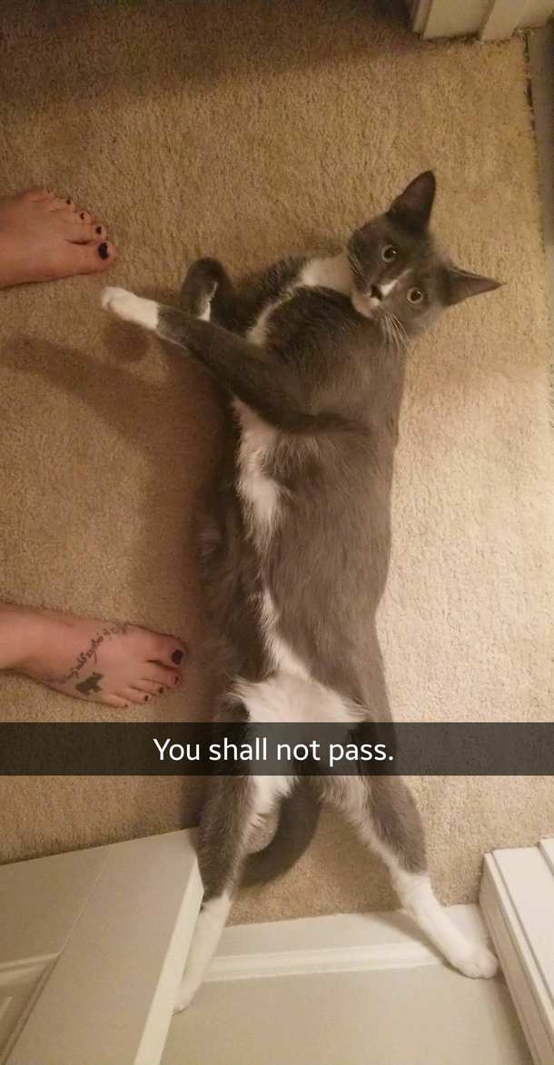 You shall not pass