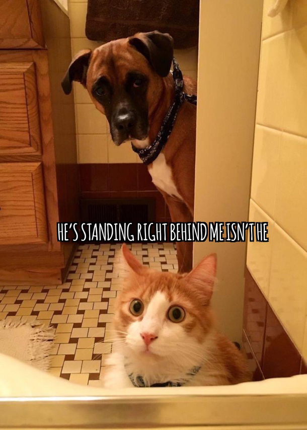 You should probably run 