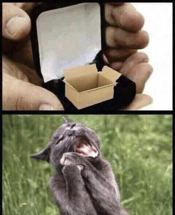 You shouldnt have