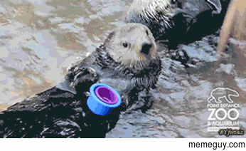 You think this is funny