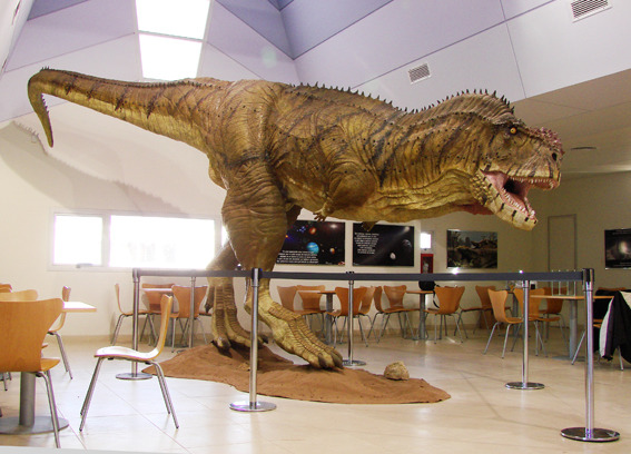 You thought the T-Rex had little arms Meet the Abelisaurus