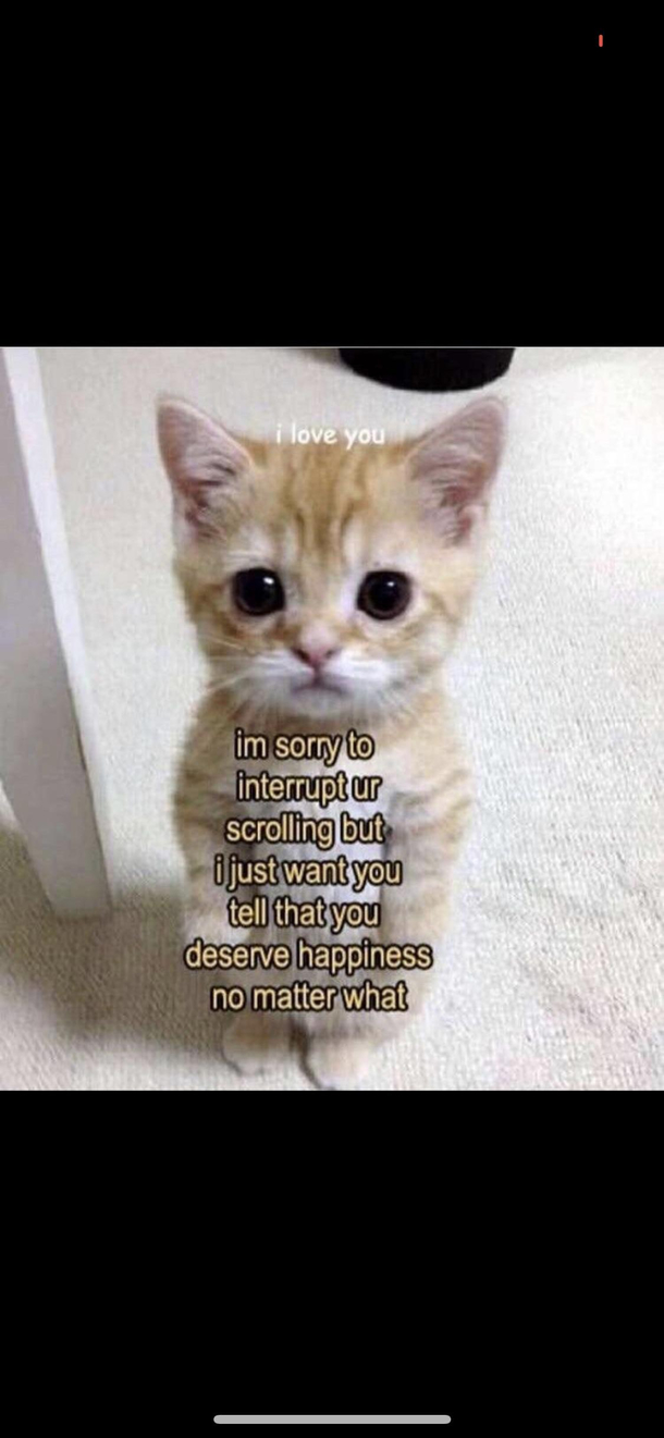 You truly do