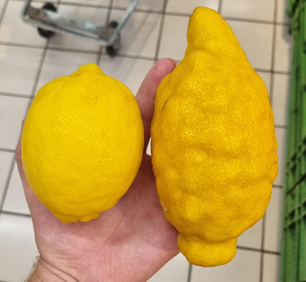 You Vs the guy she tells you not to worry about
