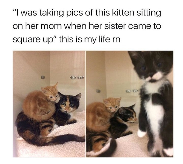 You wanna fuckin go m