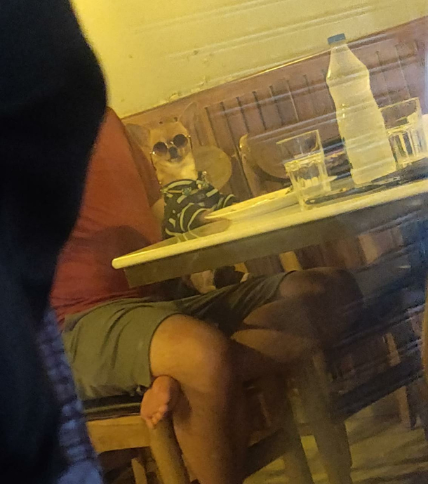 You what you looking at huh
