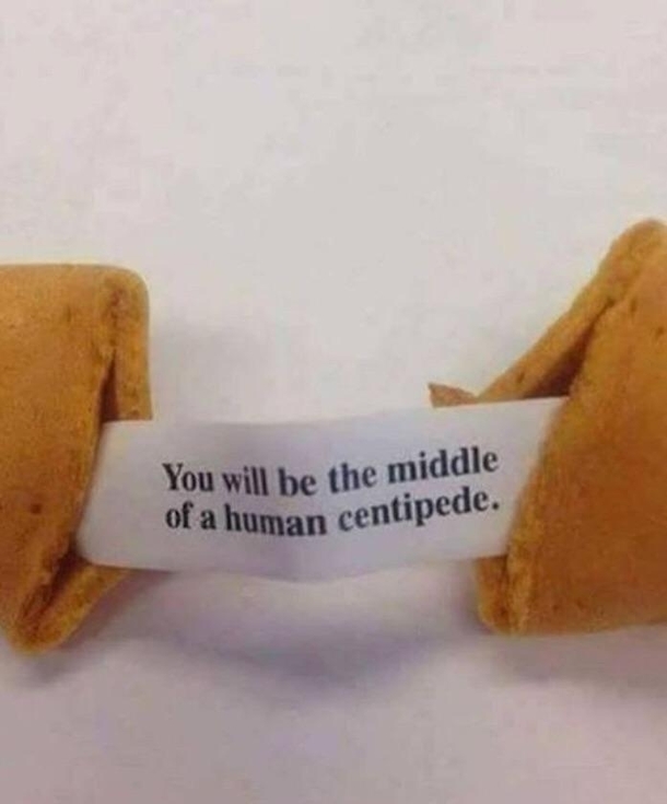 You will be