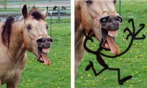 You will never unsee this