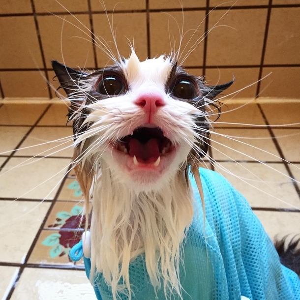 You will pay for this
