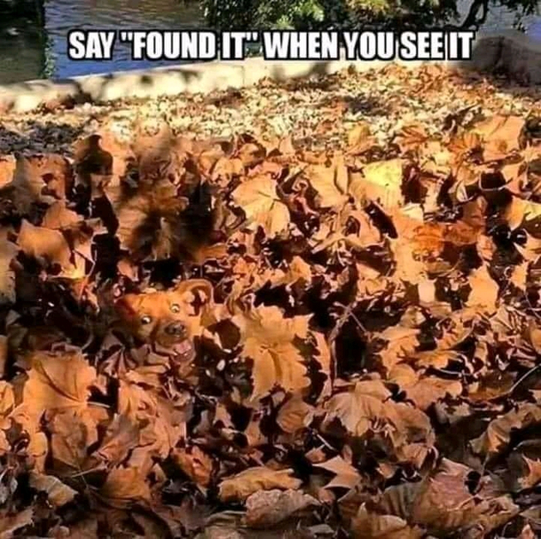 You wont be expecting it