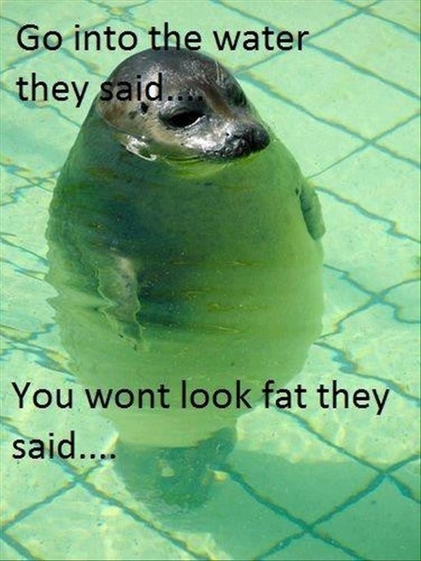 You wont look fat they said